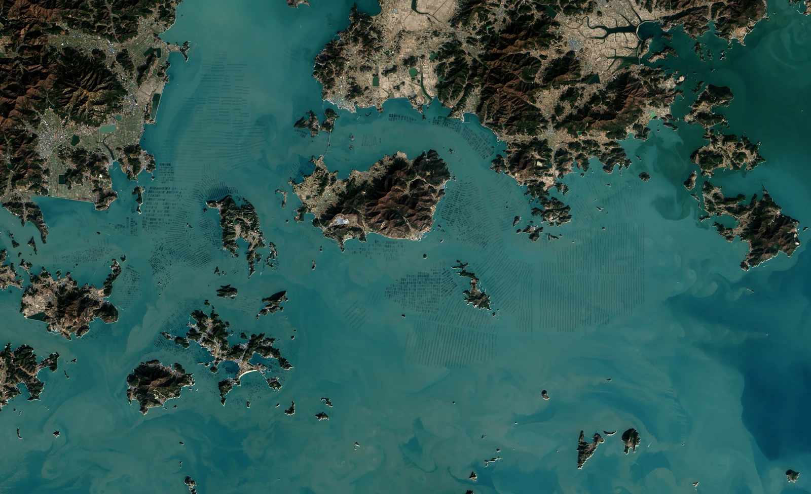 Rectangular seaweed cultivation areas around islands and a coast