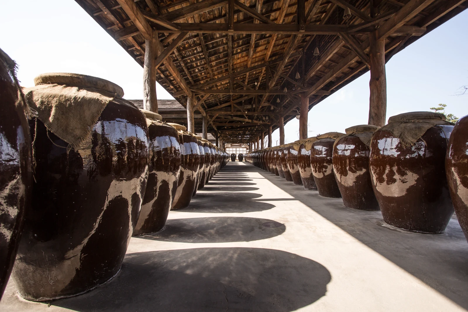 Earthenware jars arranged below a wooden roof