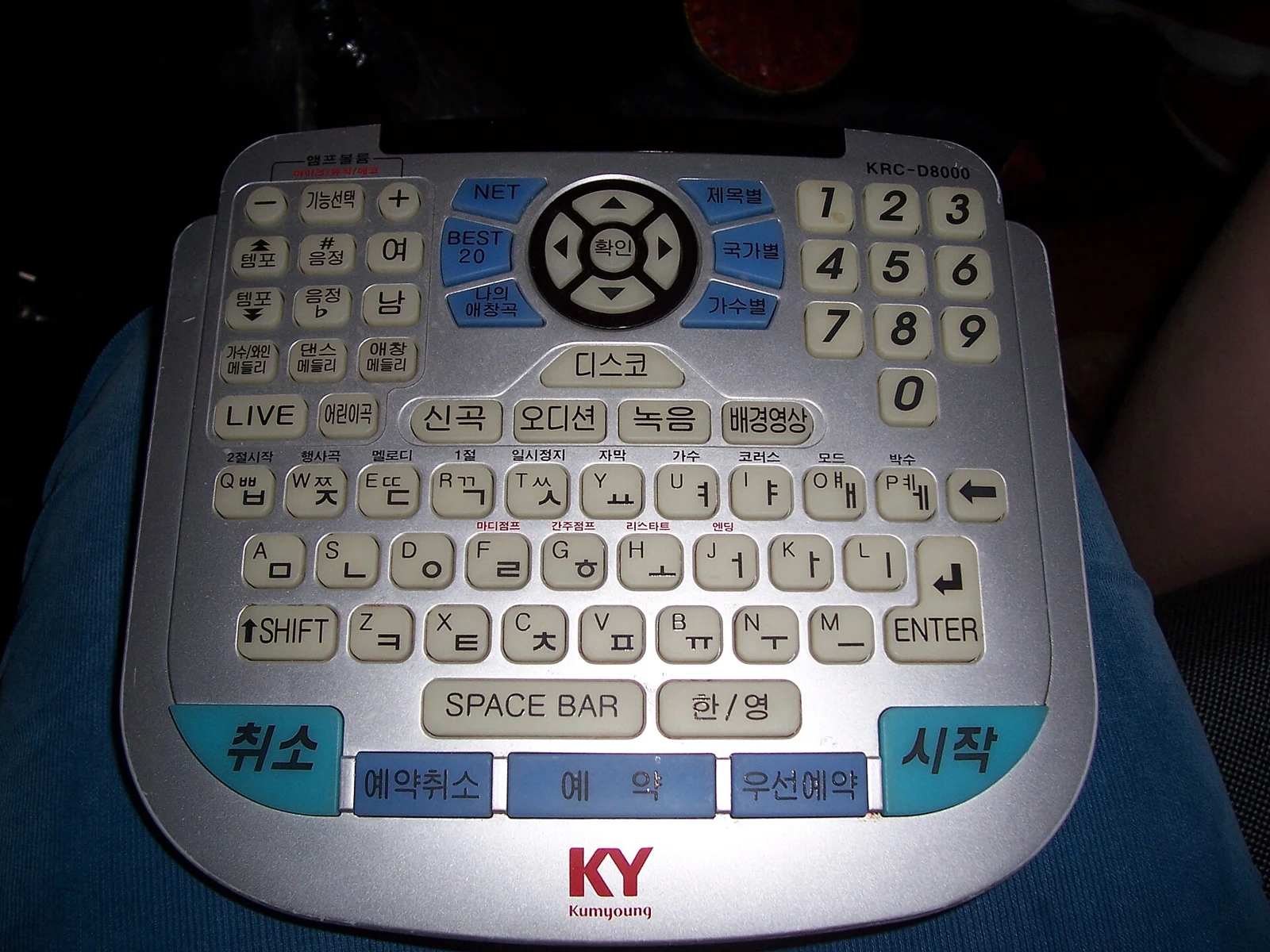 Remote in a Korean-style karaoke room in Epping, Australia, photographed on 3 October 2008.