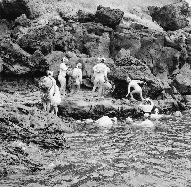 Haenyeo working at the Jeju coast. KTV archive photograph, July 21, 1958.