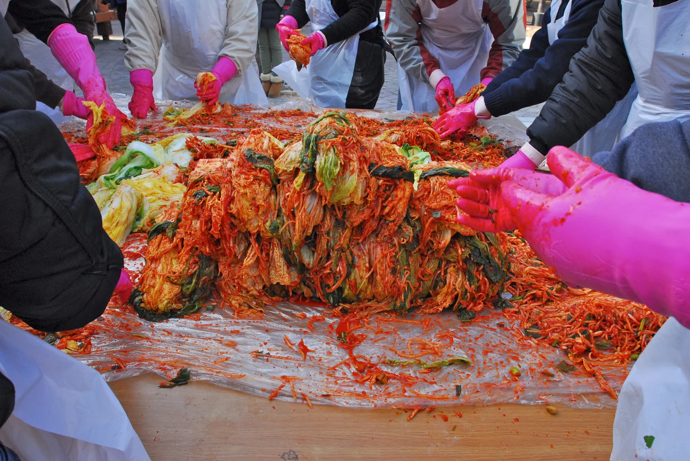 Pink-gloved hands filling cabbage on a shared work surface